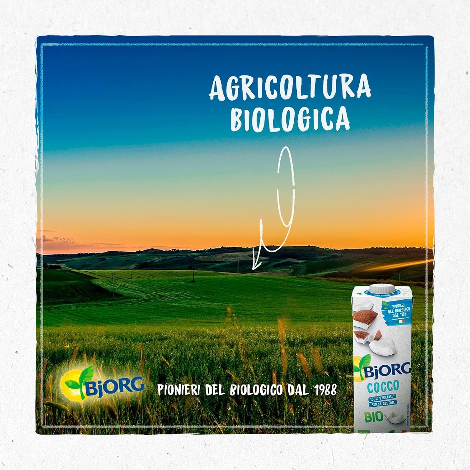 BJORG Bevanda Biologica Latte di Cocco, 100% Ingredienti Vegetale, Ottimale per Ricette Dolci, Senza Glutine, Vegan, Prodotto in Italia, 12 x 1L