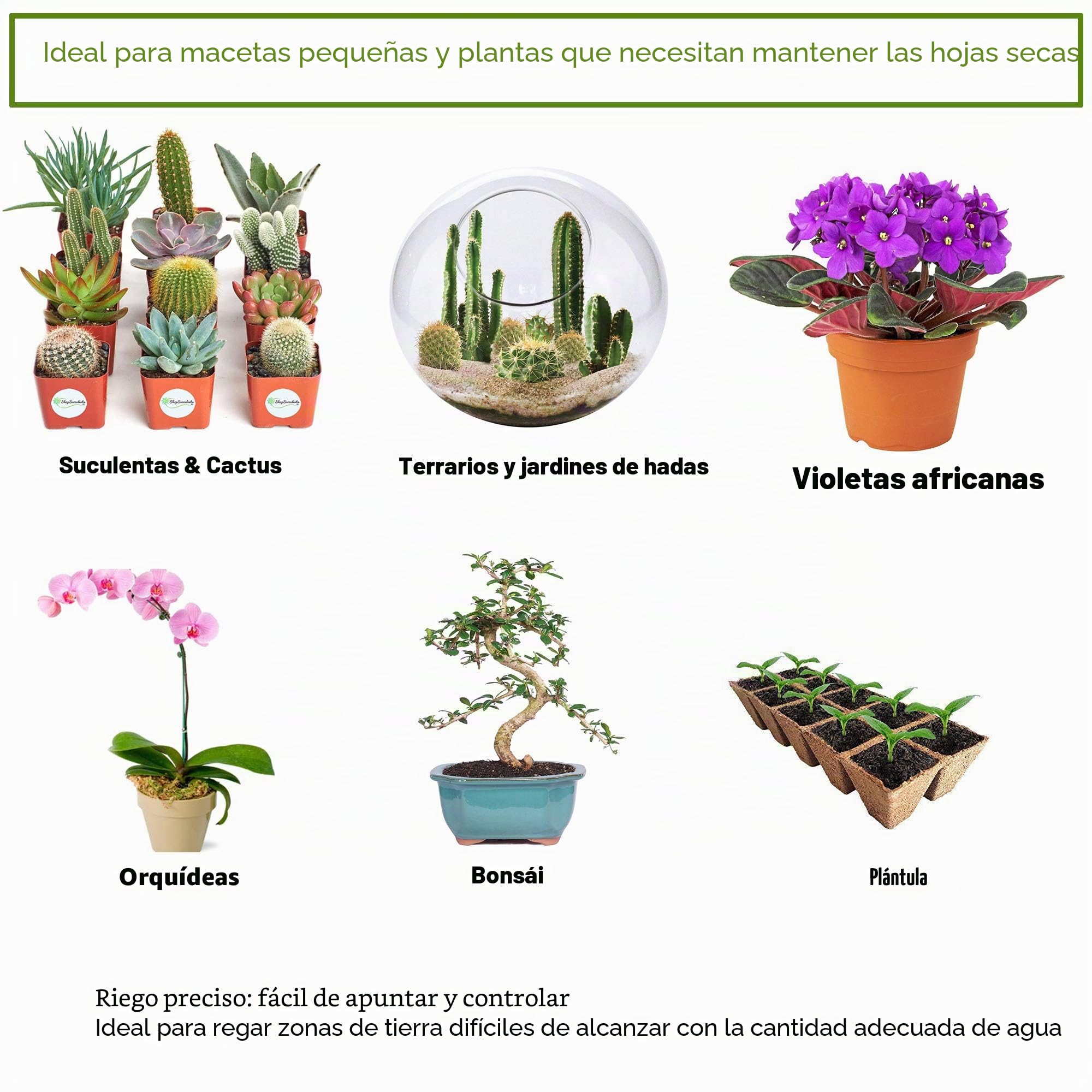 Botella de riego de 500 ml con junta tórica a prueba de fugas para plantas de interior suculentas cactus plástico apriete agua boquilla larga curvada boca regadera Bonsai Terrarium Orchids Seedling