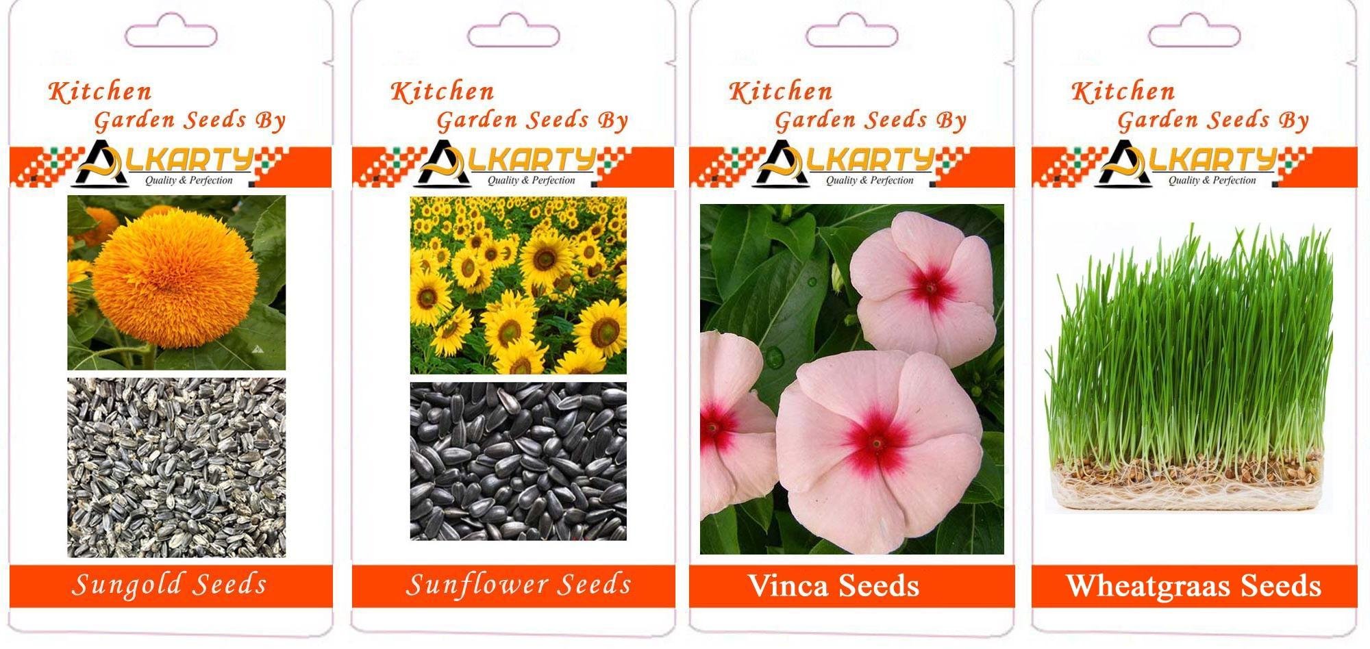 sungold, Sunflower, Vinca, Wheatgrass Summer Flower Seeds Pack of 20 Each-image-41