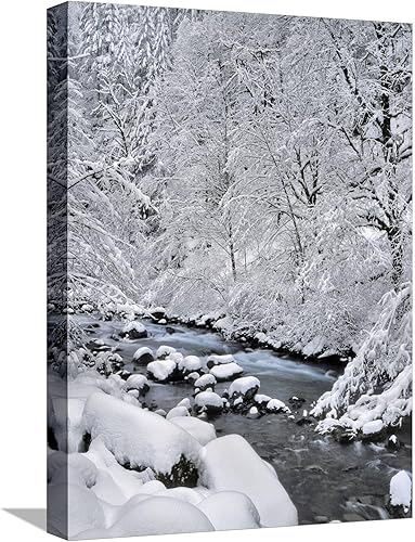 ART.COM Lienzo decorativo para pared, Estados Unidos, Oregón, bosque nacional del monte Hood. Nieve en Boulder Creek por Steve Terrill, decoración