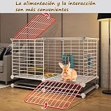 Ver la foto 6