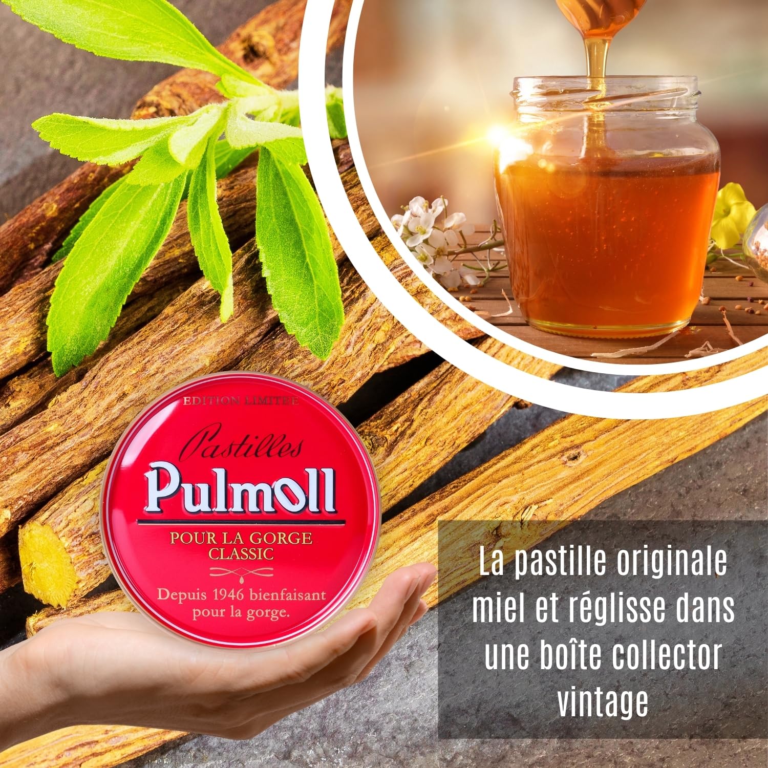 Barquette Pulmoll x10 | Format économique | Depuis 1946 (Classique Retro)