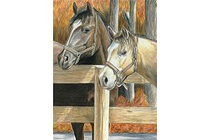 Royal Brush Coloring Book: Color by Number