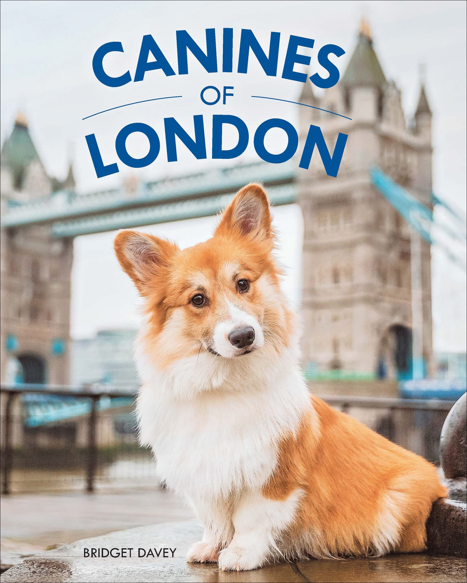 Canines of London livre en anglais de photographies de chiens londoniens