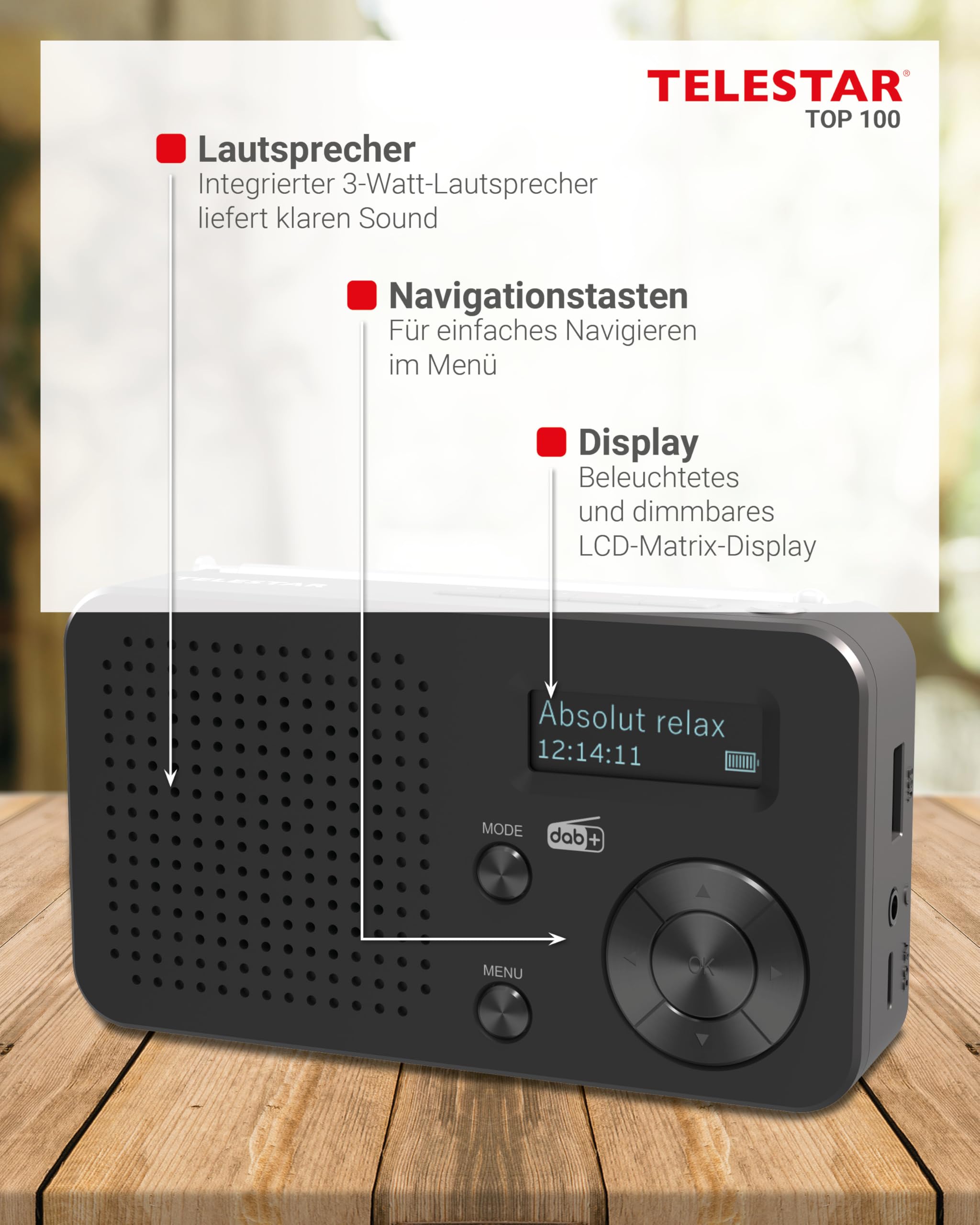 TELESTAR TOP 100 – Mobiles DAB+/UKW Radio mit Akku – Schwarz | Austauschbare Batterie, bis zu 15 Std. Spielzeit, kurze Ladezeit, Bluetooth Audio-Streaming, USB-Mediaplayer