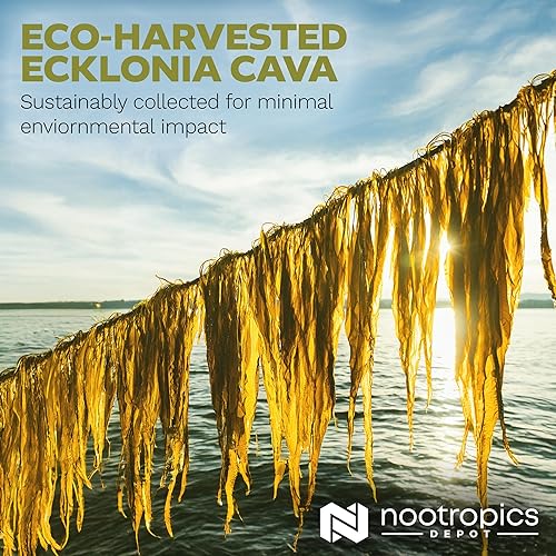 Miniatura 5 de Nootropics Depot Cápsulas de cava Ecklonia  250mg  0.5% Dieckol  Algas marinas  60 unidades