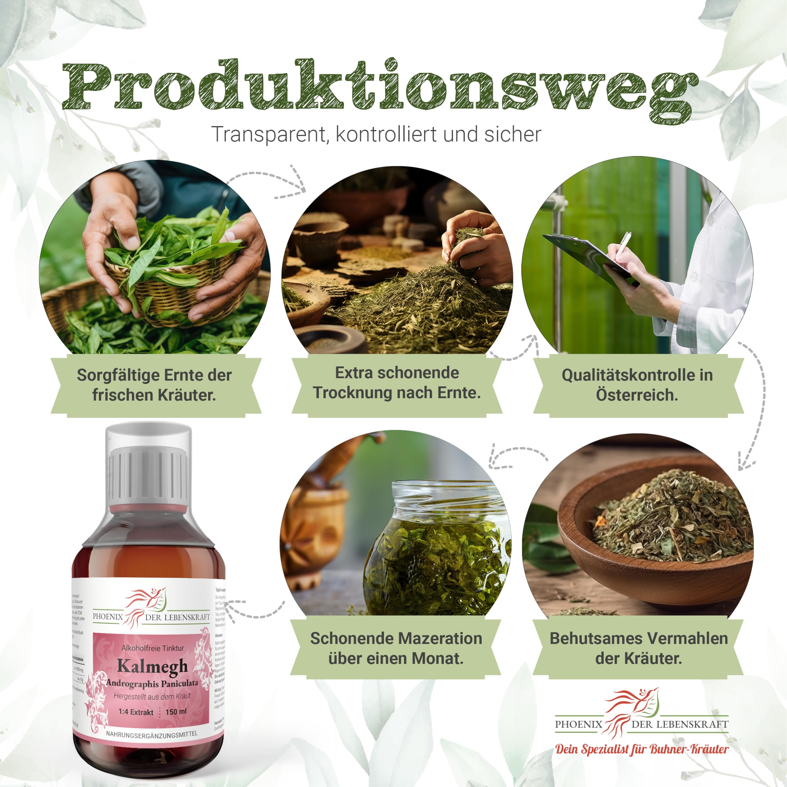 Kalmegh Tinktur (alkoholfrei) - 150ml, Andrographis Paniculata Tropfen, 1:4 Extrakt, Top Premium Qualität, Hergestellt in Österreich, Vegan