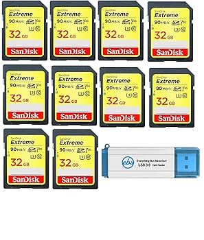 Amazon.com: SanDisk Extreme 32 GB SD Card (10 Pack) Speed