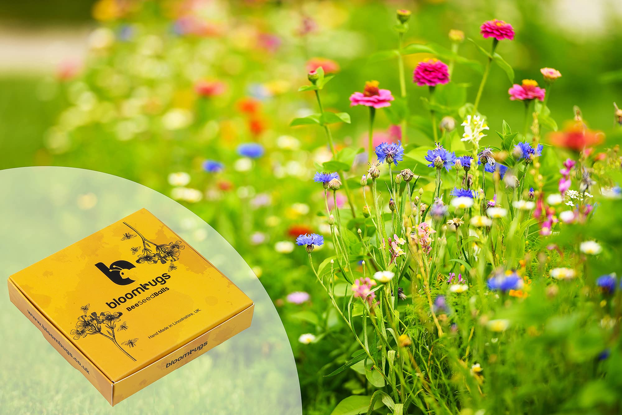 Native Wildflower Bee and Butterfly Seed Bombs 26 Native Wildflower