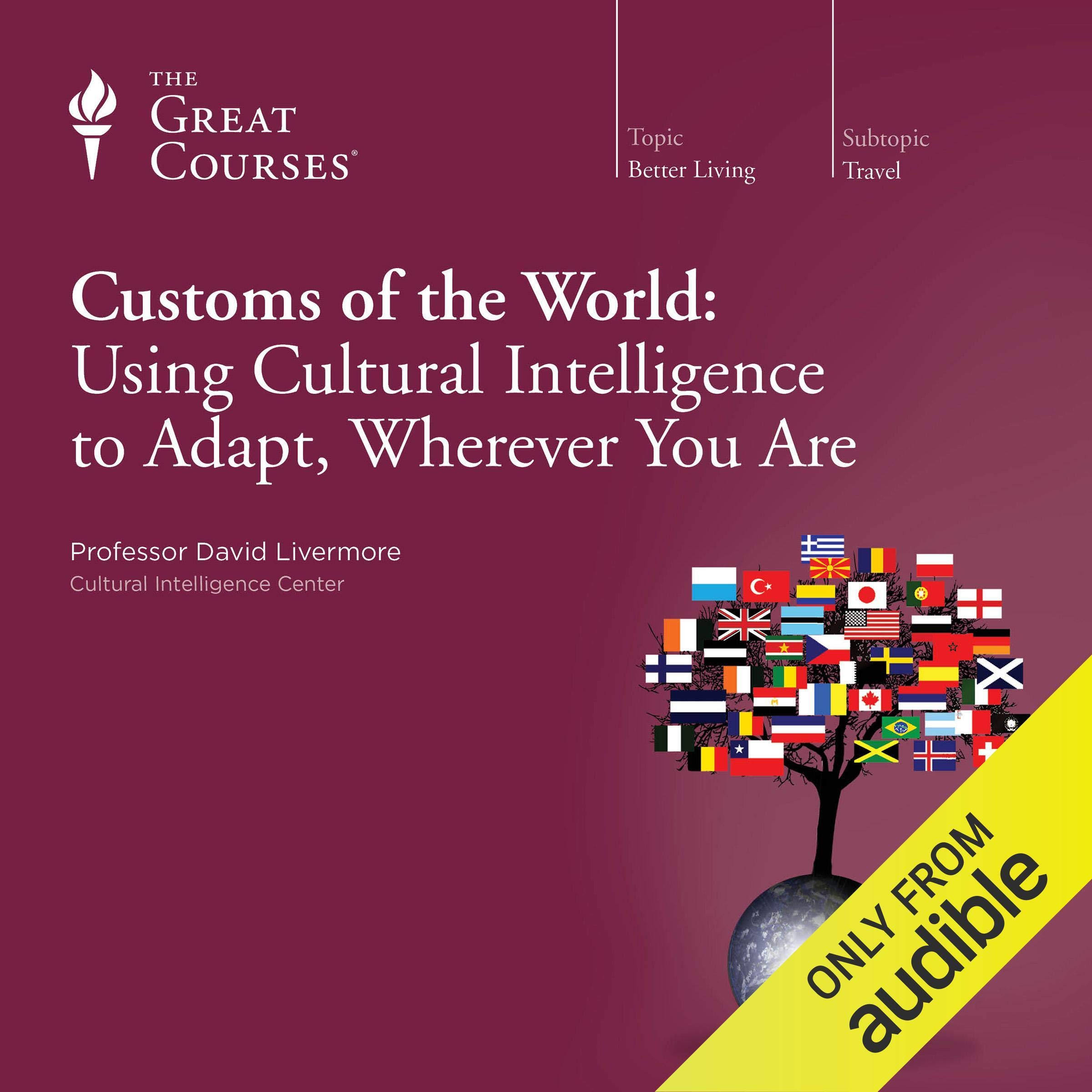Cover art for Customs of the World: Using Cultural Intelligence to Adapt, Wherever You Are