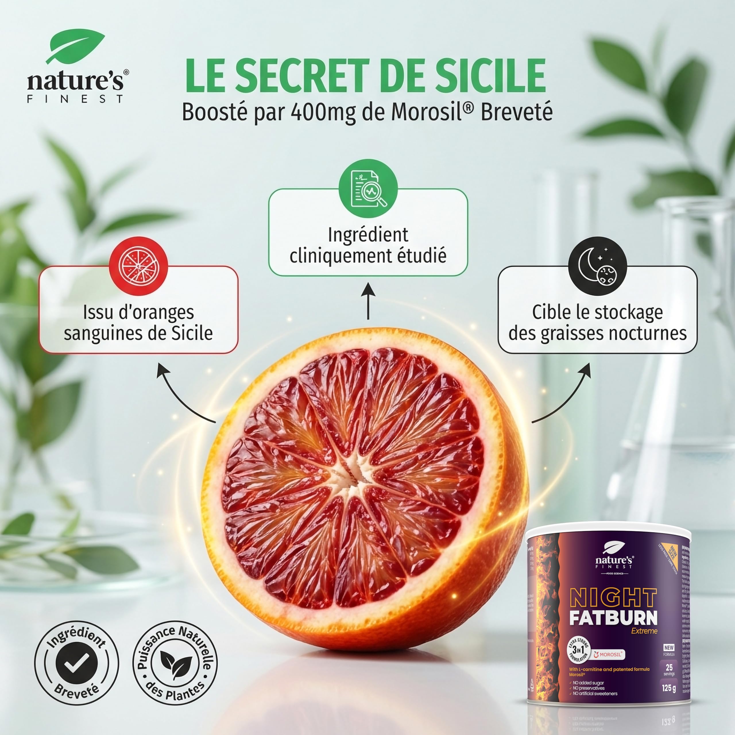 Nutrisslim Night Fatburn Brûleur De Graisse Extrême 125 g Morosil 400 Mg Perte De Poids L-Carnitine Extrait De Vin Rouge Valériane Sommeil