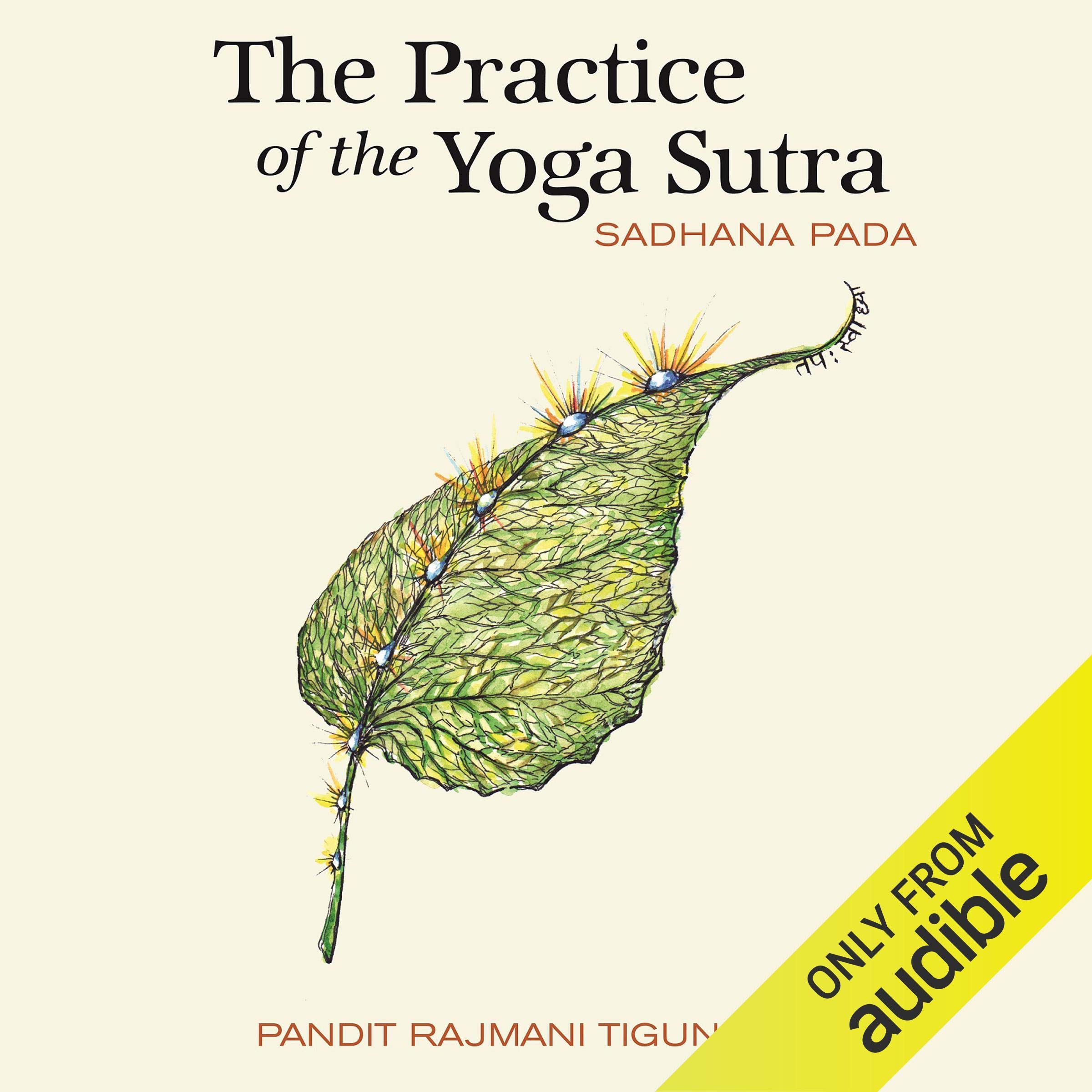 Cover art for The Practice of the Yoga Sutra: Sadhana Pada
