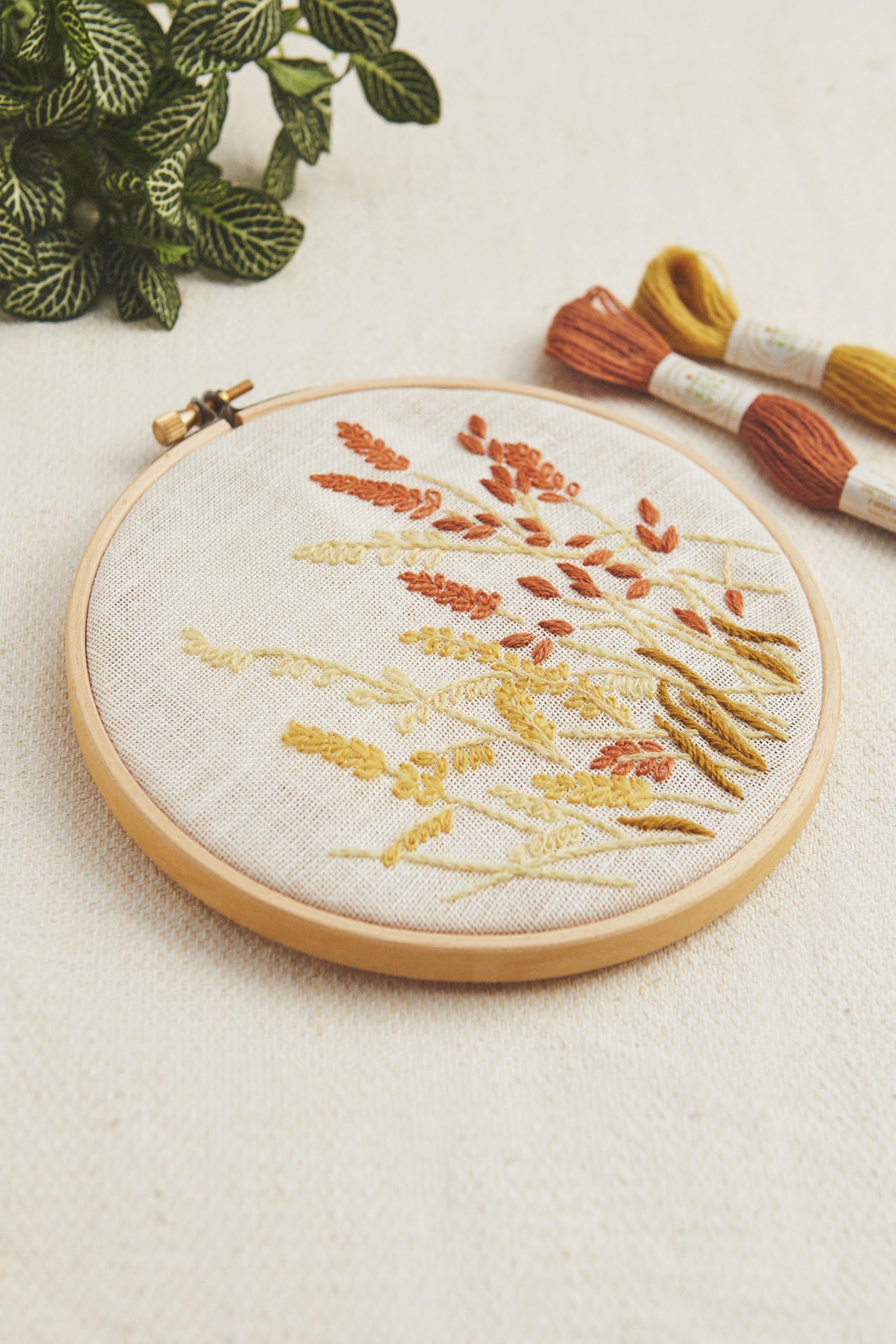 DMC Eco Vita Kit - Wheat