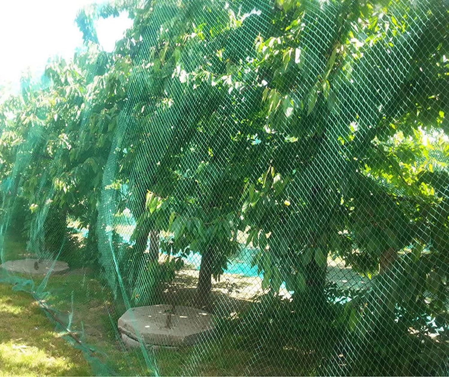 Anti Bird Net - Protect Plants & Garden -8