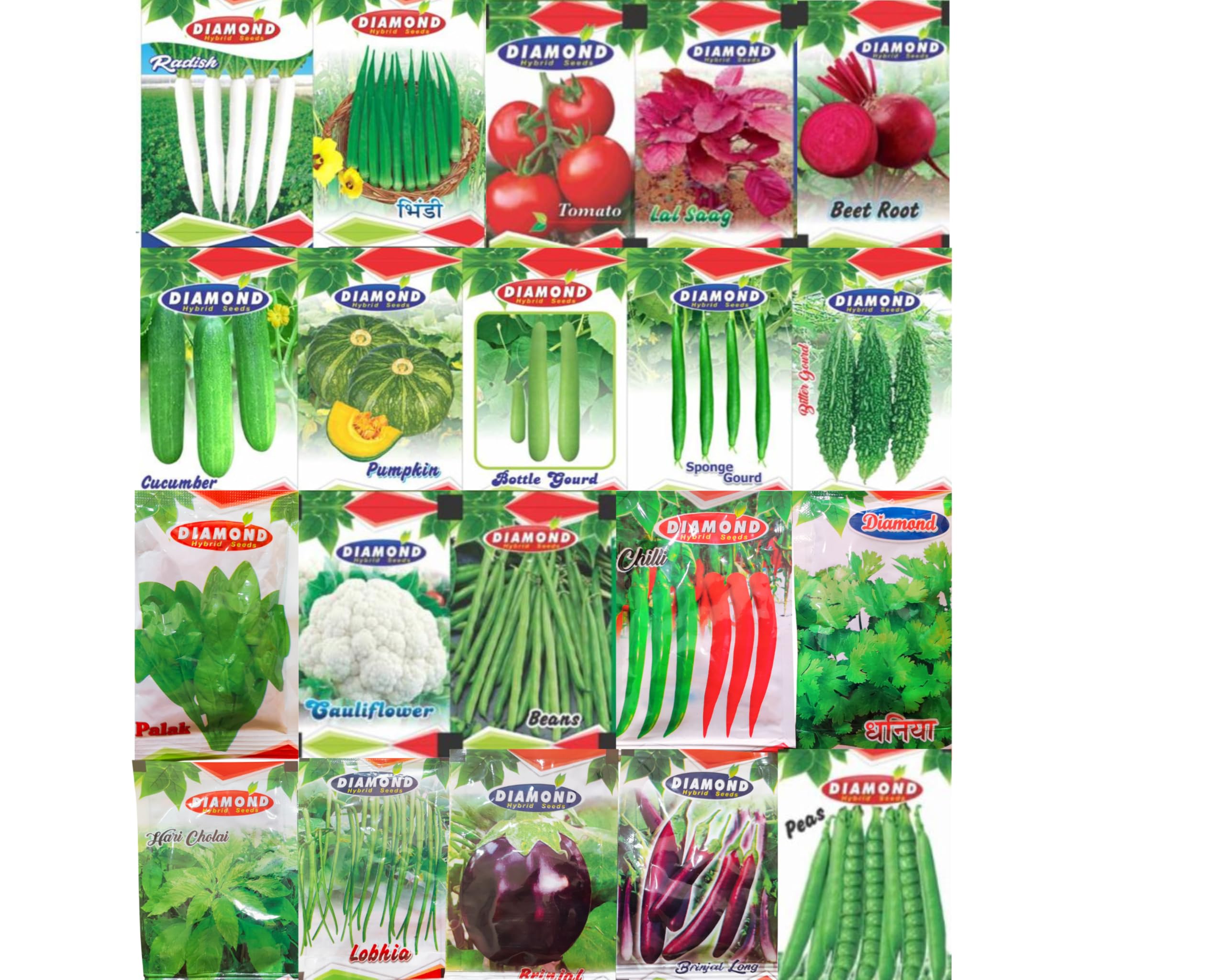 Diamond Quality Vegetable Seeds Collection, 20 Varieties Pack with 2500+ Seeds, Home Growing Kit with Radish, Tomato, Cucumber, Pumpkin, Gourd, Chilli and More
