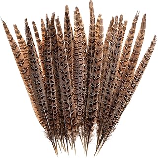 AWAYTR 20pcs Natural Pheasant Feathers - Pheasant Tail 8-11inch(21-28cm) for DIY Decoration (Female Pheasant Tail)
