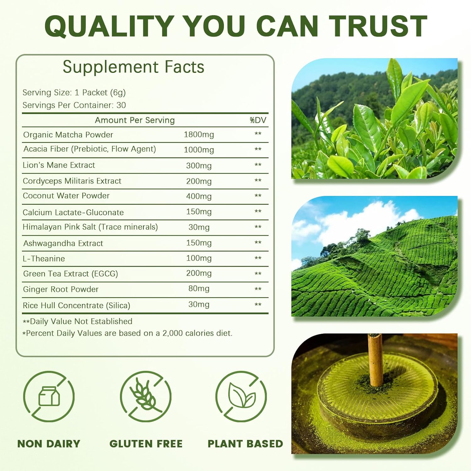 Matcha Powder Single Serving Sticks - Healliance Ceremonial Grade Matcha Powder with Lion's Mane and Ashwagandha for Calm Focus and Antioxidant Support (30 Packets) - Image 2