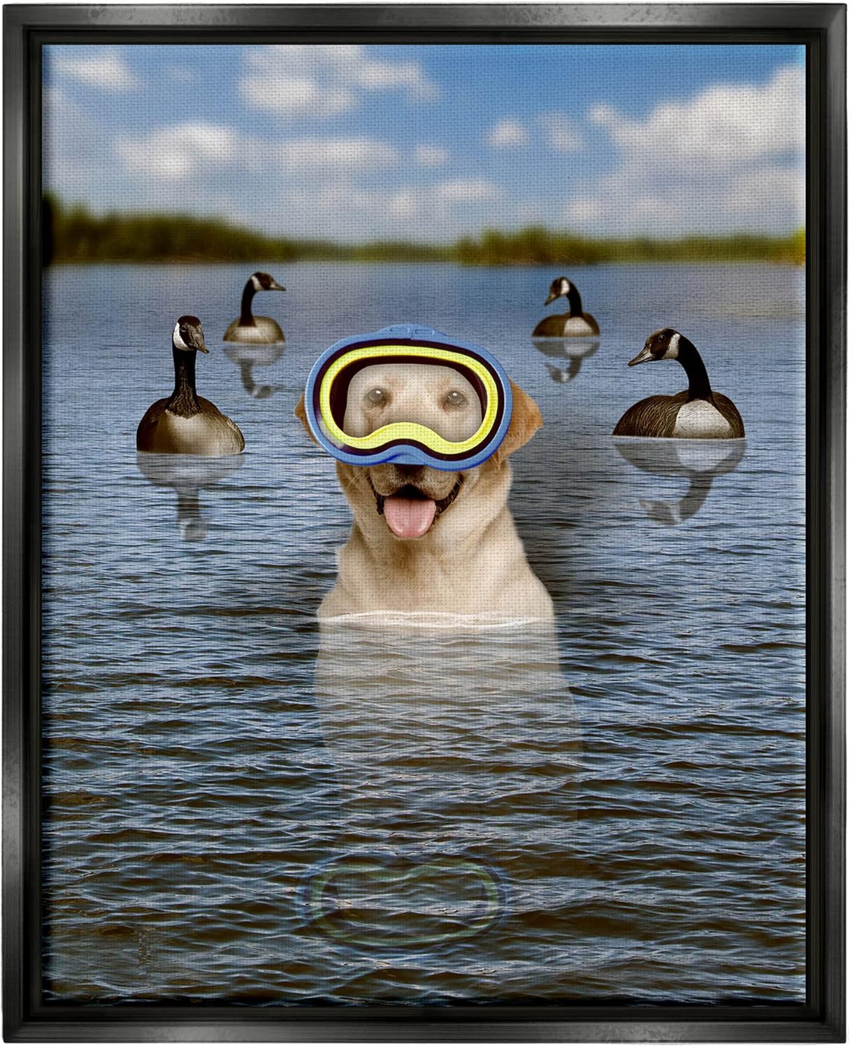 Stupell Industries Funny Dog Goggles Swimming Bay Floating Framed Wall Art, Design by John Hovenstine