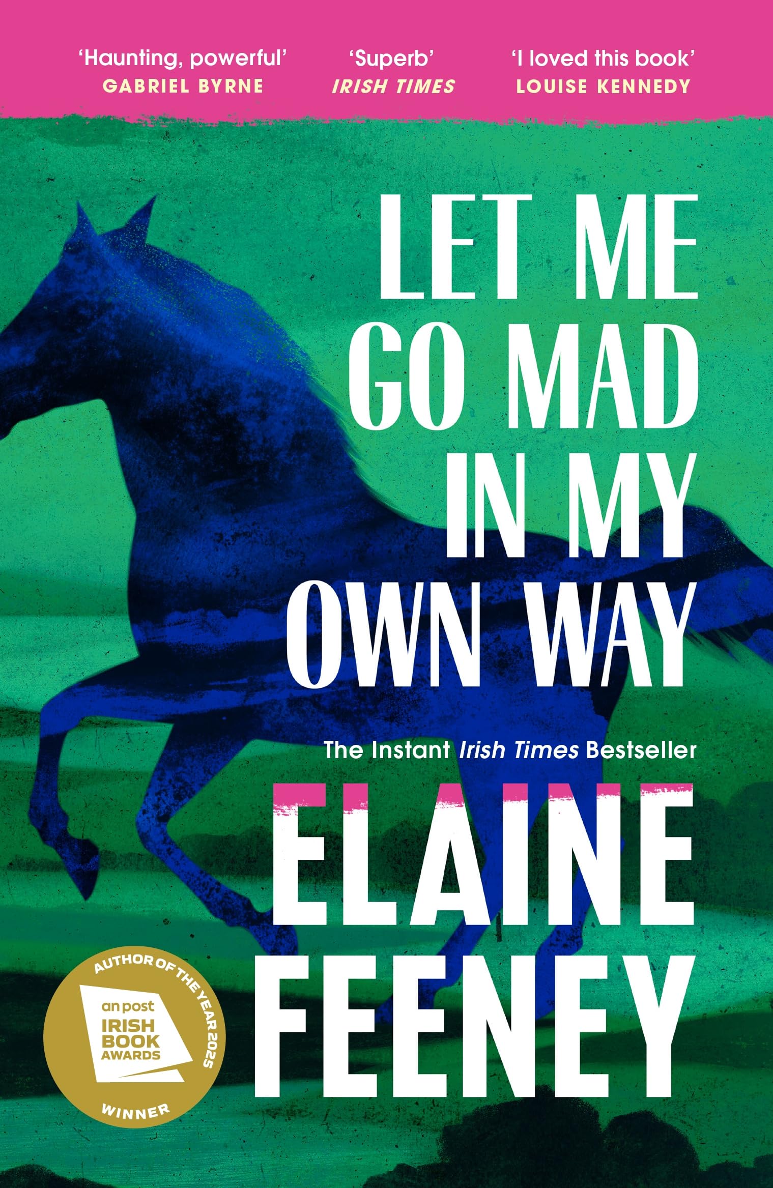 Let Me Go Mad in My Own Way: The new novel about family history, love and second chances from the Booker Prize longlisted author