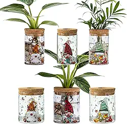 Vasos de propagação de Natal para plantas, frascos de propagação de 2 tamanhos com padrões de decorações de Natal, vaso hidropônico de vidro de mesa para mudas de plantas, para amantes de
