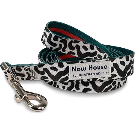 cute dog leads