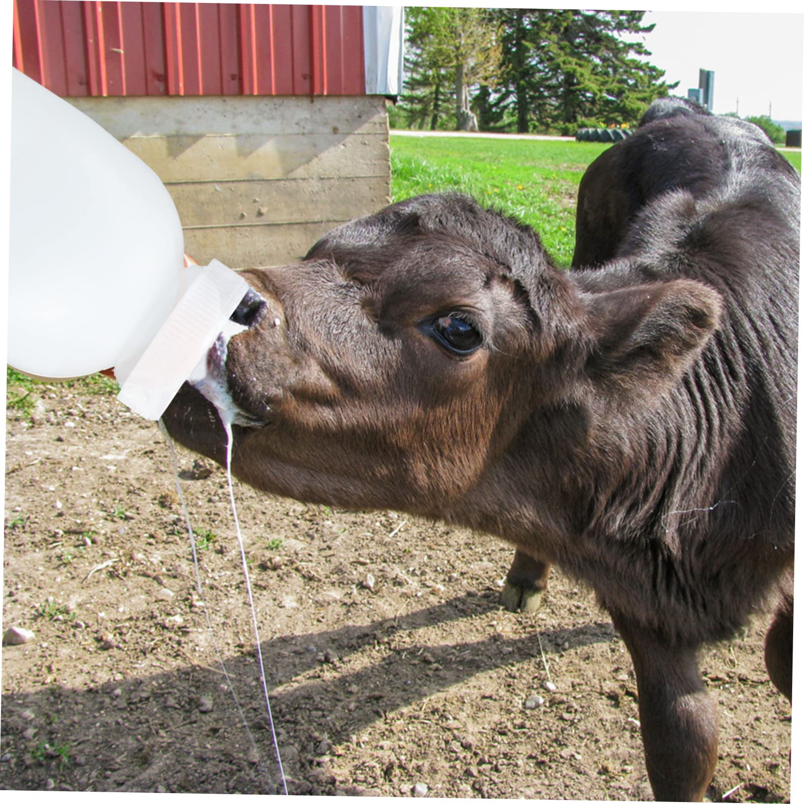 Kisangel 4 Piezas biberón para Ternero Vacas bebé biberón de Juguete Botella de Leche para Mascotas biberón para Mascotas Aves de Corral Dispositivo de Lactancia Vacas y ovejas
