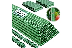 Exceptional 6 ft Tomato Stakes for Enhanced Plant Support