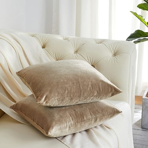 Vista 99 de GIGIZAZA - Juego de 2 fundas de almohada decorativas de 18 x 18 pulgadas, fundas de almohada cuadradas de terciopelo verde azulado pavo real