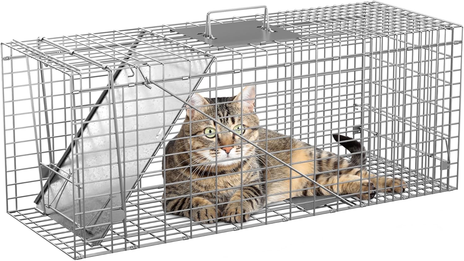 Nouva 32" Live Animal Cage Trap - Steel Large Folding Humane Cat Trap Raccoon Trap w/Handles for Rabbits, Stray Cats, Squirrels, Skunk, Groundhogs and Opossums