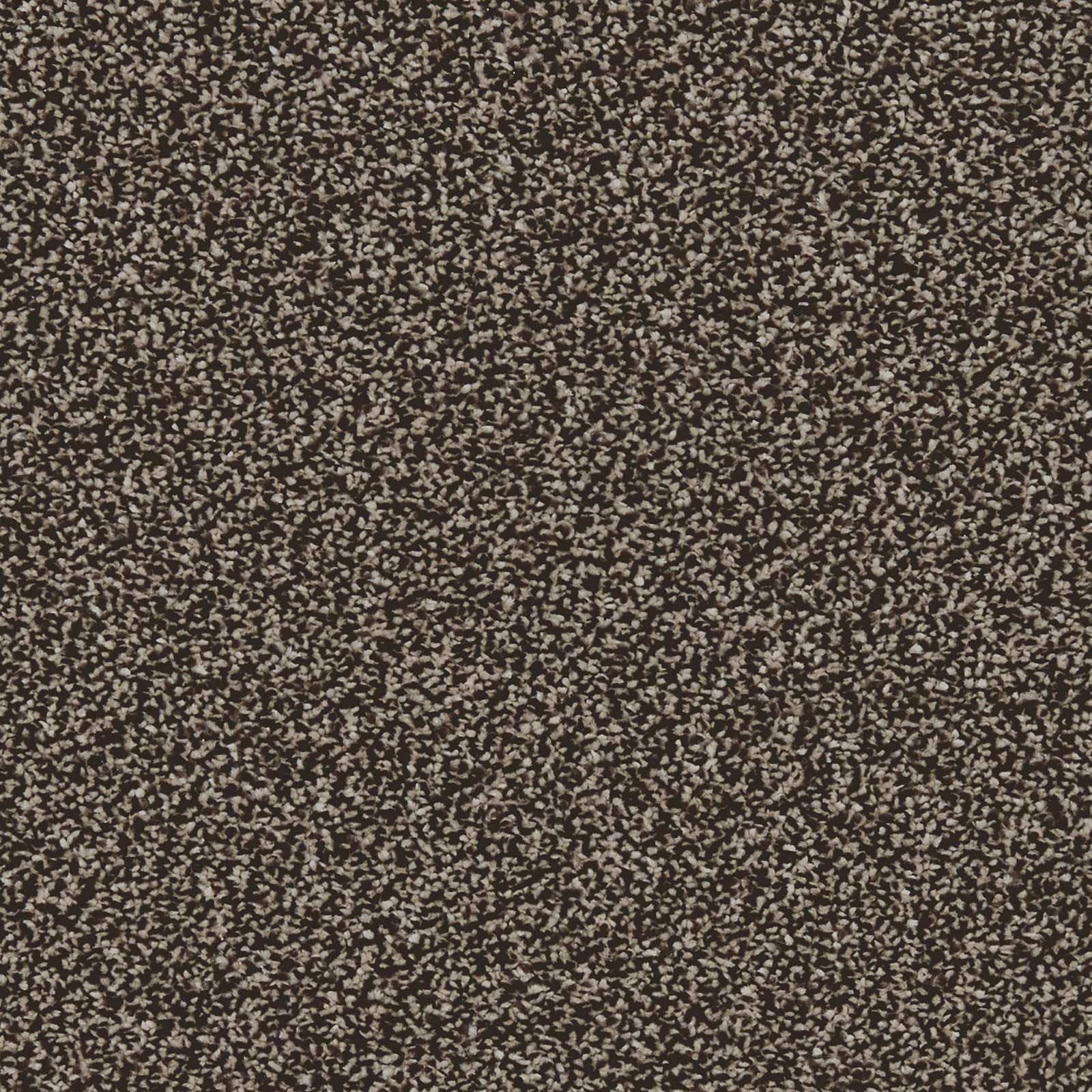 247Floors Linwood 40oz Twist Carpet 11.5mm Stain Resistant Actionback Living Room Bedroom (Clove - 4m x 2m)