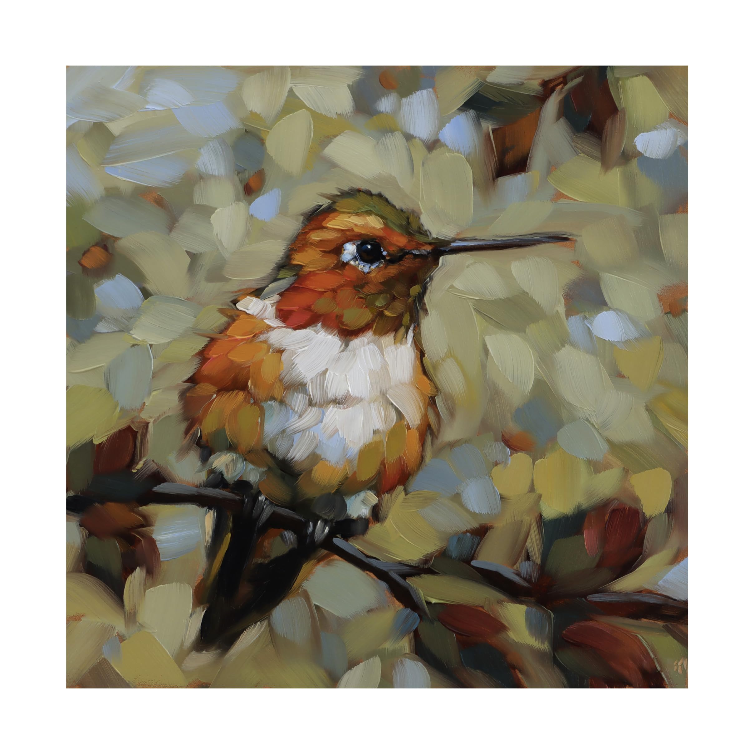 Trademark Fine Art Canvas Wall Art - Andrea Lavery Rufous Hummingbird Wall Art for Living Room Bedroom or