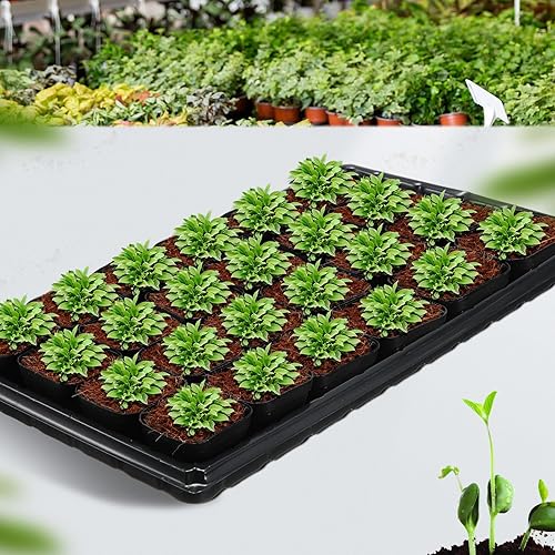 Miniatura 5 de Paquete de 20 bandejas de cultivo de plantas (sin agujeros de drenaje) de 21.26 x 11.02 x 1.77 pulgadas, paquete de 32 macetas de plástico de 2.56