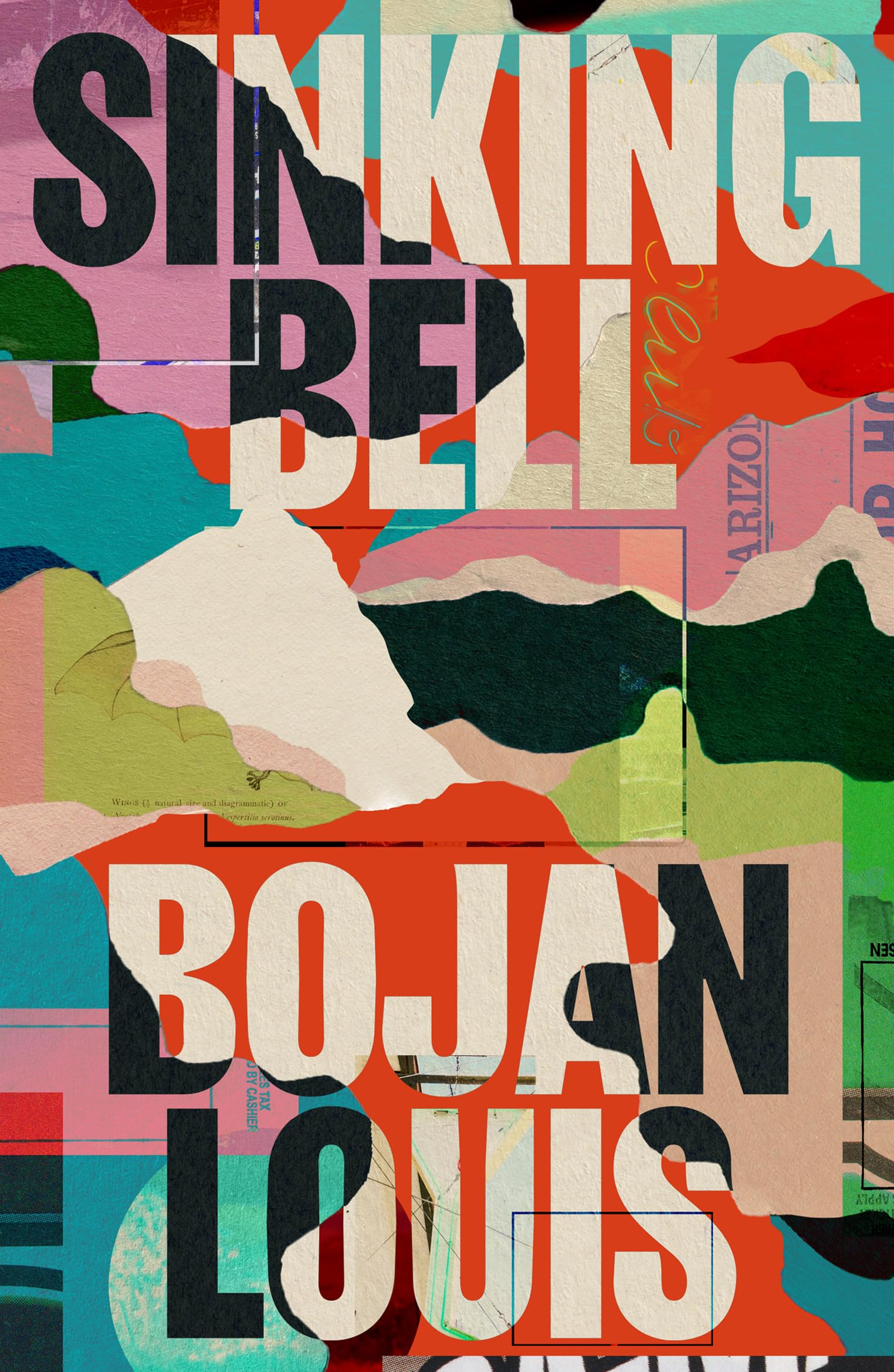 Sinking Bell by Bojan Louis PAPERBACK 9781915368546