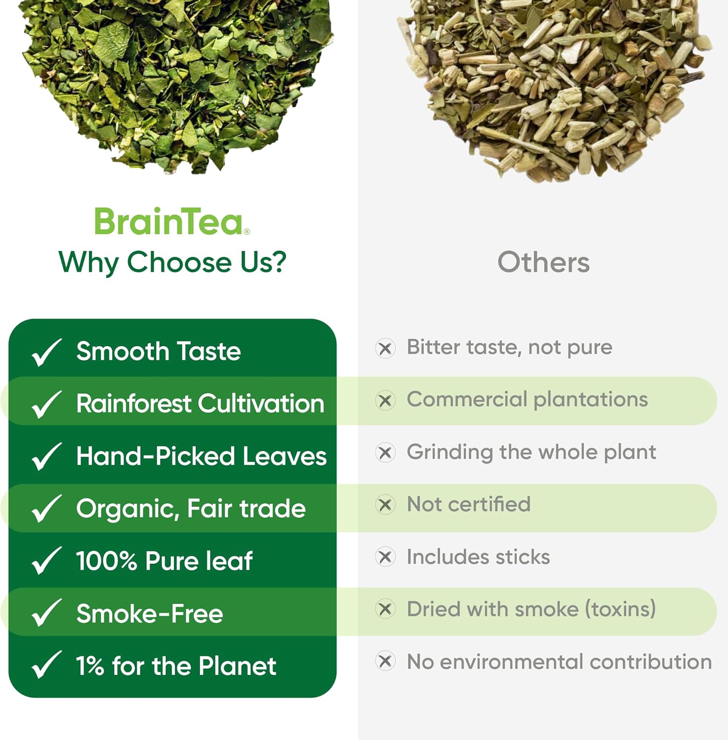 Brain Tea Focus & Memory Tea and Organic Yerba Mate Tea Bags Bundle