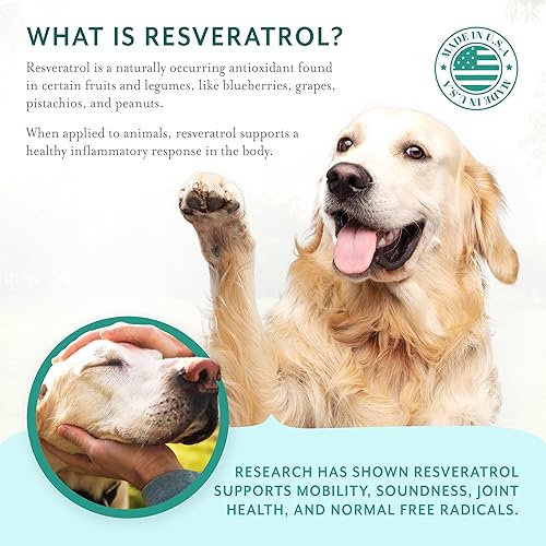 Miniatura 4 de Suplemento de apoyo para cadera y articulaciones para perros masticables suaves con resveratrol, glucosamina, condroitina, ácido hialurónico, sabor