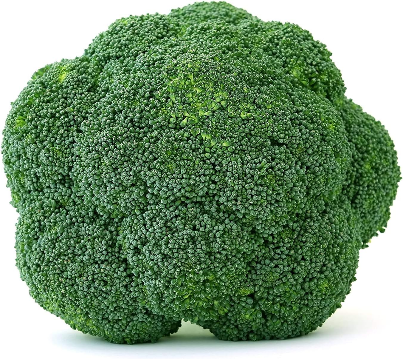 Bulk Organic Waltham Broccoli Seed Non GMO (25 Lbs)
