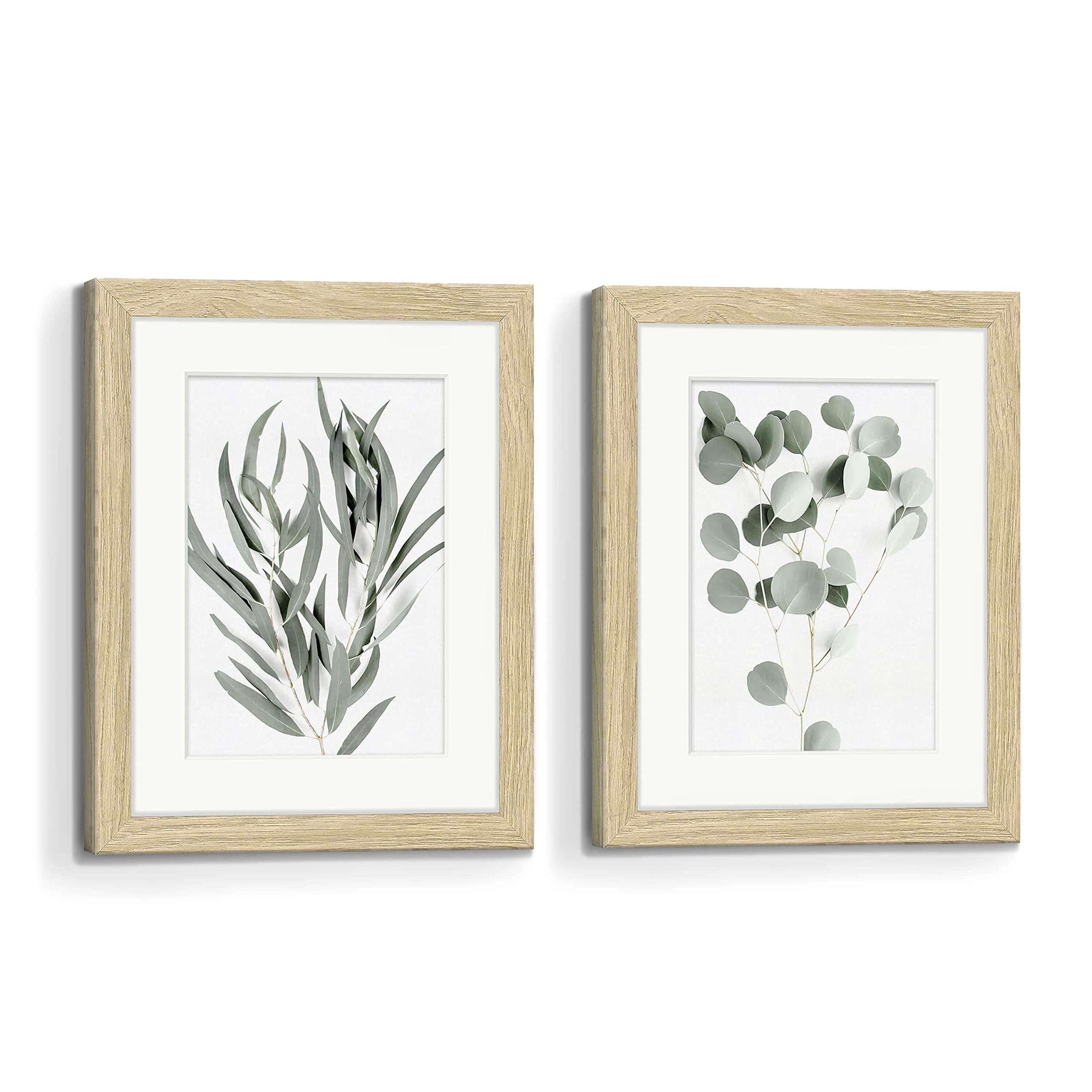 Living Room Plant Wall Art: Bedroom Bathroom Framed Print Green Botanical Picture Minimalist Eucalyptus Leaf Painting 2 Piece Modern Nature Photo Contemporary Gallery Artwork Office 11x14