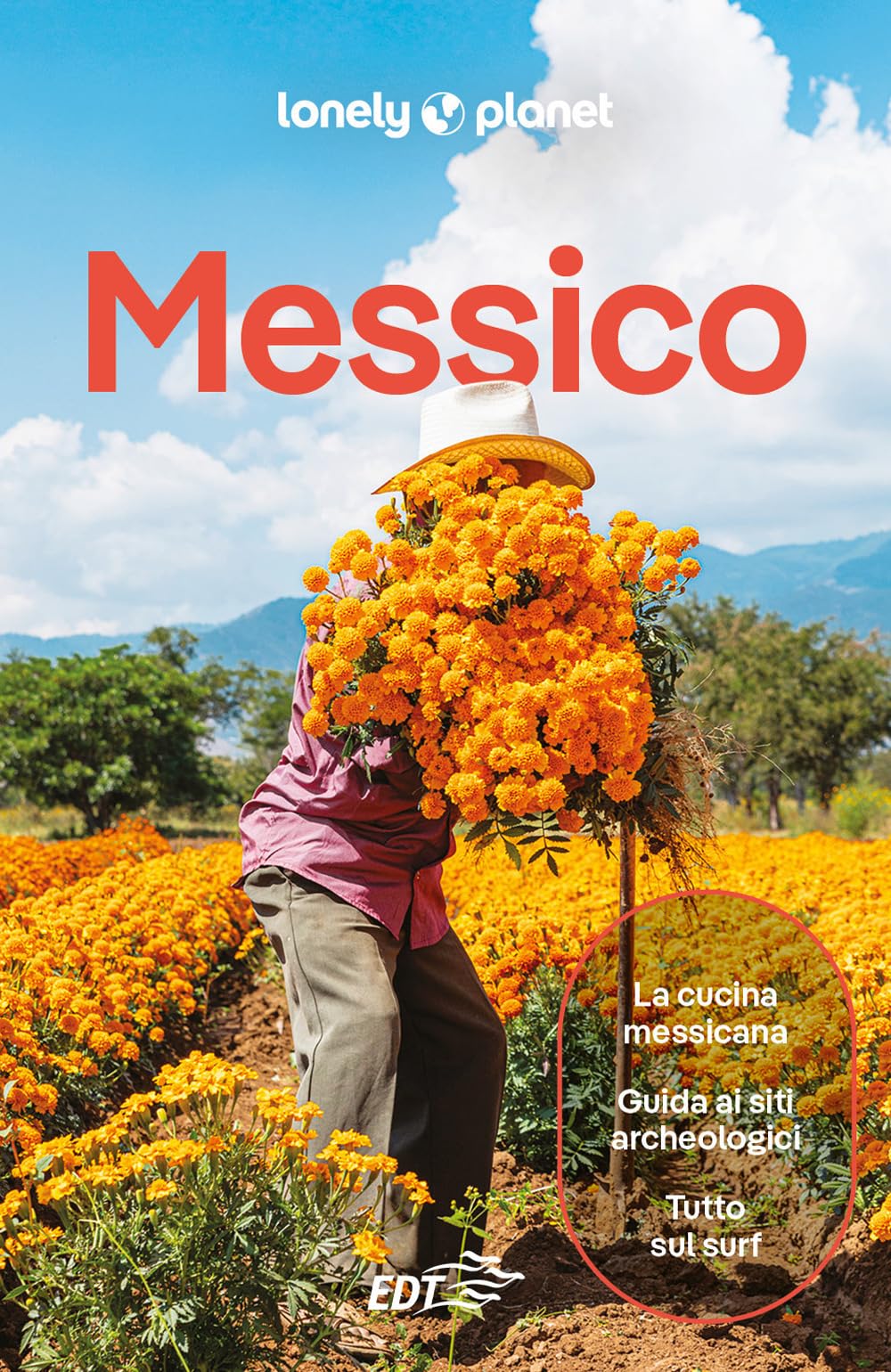 MESSICO. Le guide di viaggio più vendute al mondo. Itinerari esperienze e consigli degli autori: molto più di una guida turistica!. Città del Messico, Veracruz, Chiapas, Oaxaca, Baja California