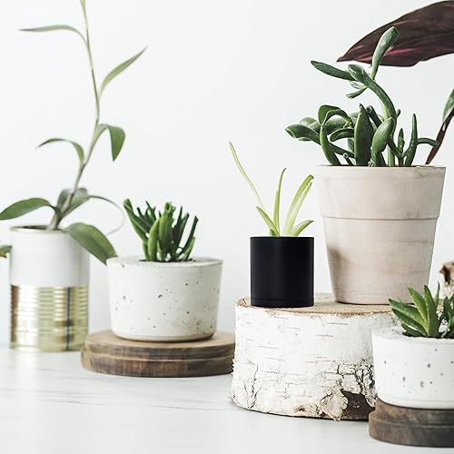 Miniatura 39 de D'vine Dev Paquete de 4 macetas de plástico modernas de 4 pulgadas, pequeñas macetas de jardín para plantas con agujeros de drenaje y platillos