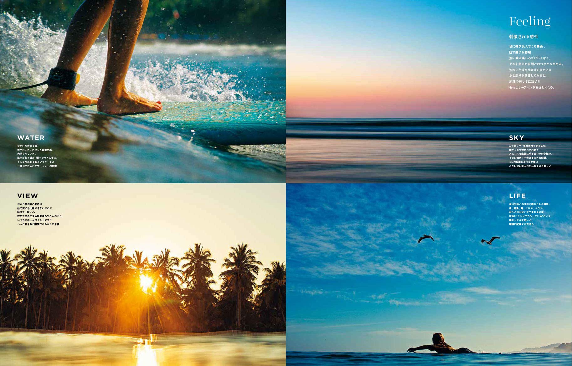 サーフ 取寄 Kanu Surf Girls Womens Darren Stretch Upf 50 Active Swim And Workout Boardshort Darren Ch カヌ サーフ ガールズ ウィメンズ ダレン ストレッチ Upf 50 アクティブ スイム アンド ワークアウト ボードショーツ れらのボー