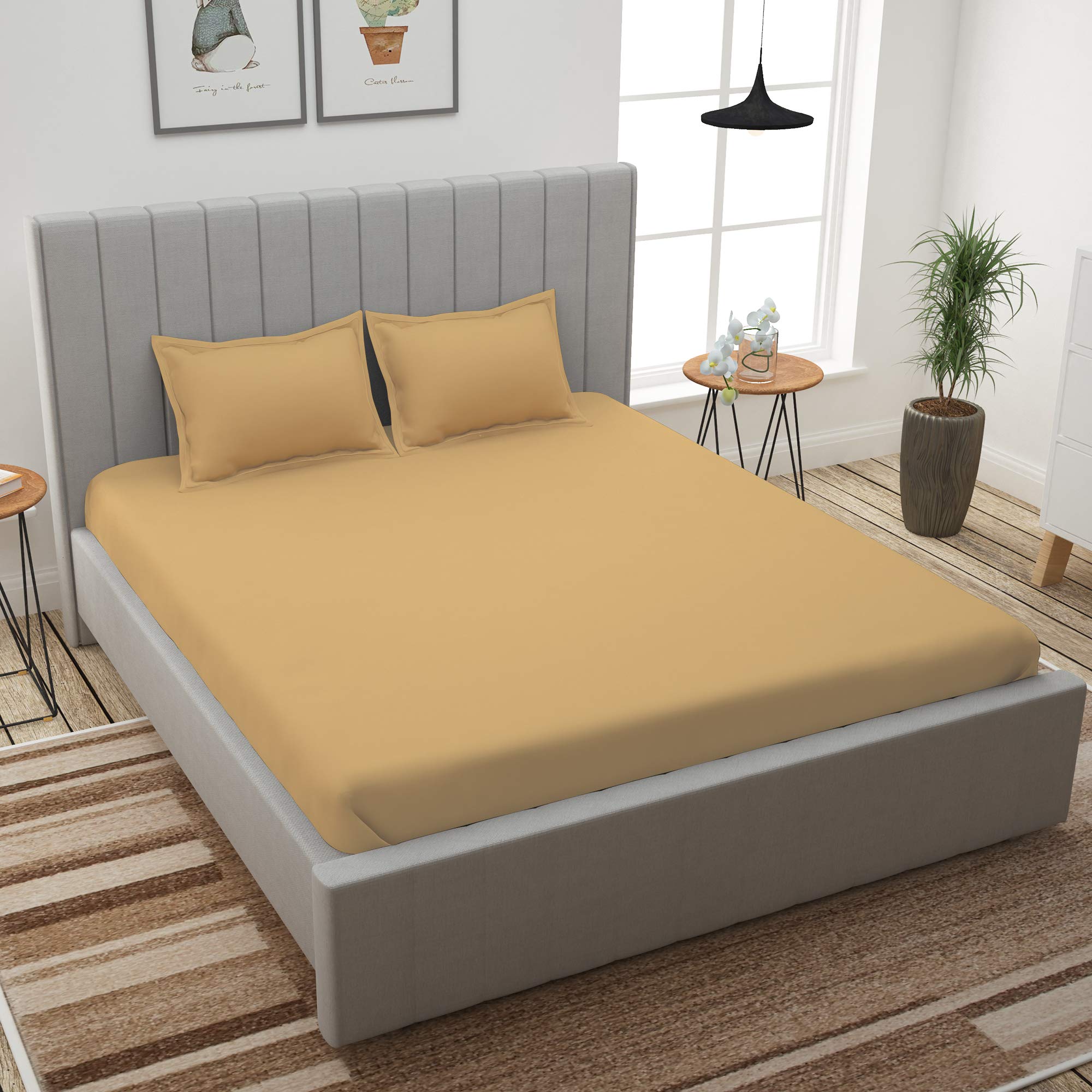 See full amazon price history chart for Story@Home Bedsheet for King Size Bed | Cotton Bedsheet | Solid King Size Bed Sheet Cotton with 2 King Size Pillow Covers(270 x 270cm, Beige) King bedsheet | Perfect for Home Decor | 300TC Story@Home Bedsheet for King Size Bed | Cotton Bedsheet | Solid King Size Bed Sheet Cotton with 2 King Size Pillow Covers(270 x 270cm, Beige) King bedsheet | Perfect for Home Decor | 300TC (B0924QB8FT) Amazon Price History, Amazon Price Tracker