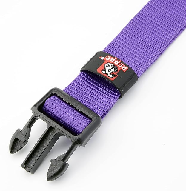 Foto 5 de 5 de Arppe 2240016017 - Collar Nylon Basic, Púrpura, XL, 1 unidad
