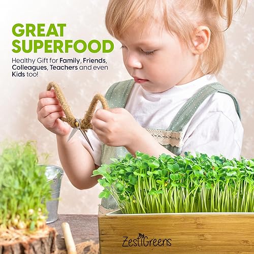 Miniatura 5 de Kit de cultivo de microgreens de autorriego incluye bandeja de microverdes, semillas de microverdes, tapetes y envoltura de bambú. No necesita