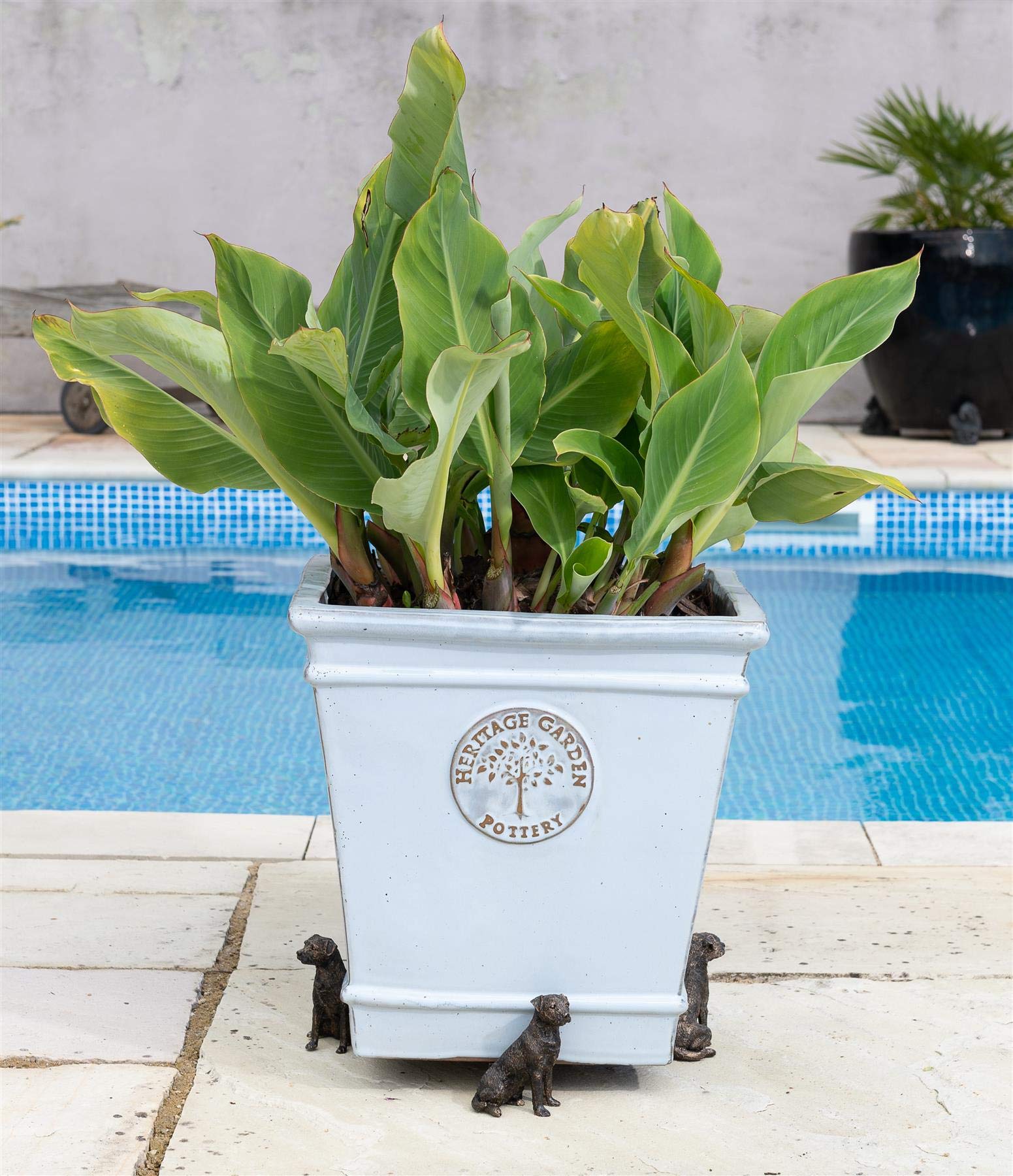 Potty Feet Border Terrier Figures Plant Pot Feet - Planter Support - Handmade Decorative Ornaments - 3pcs