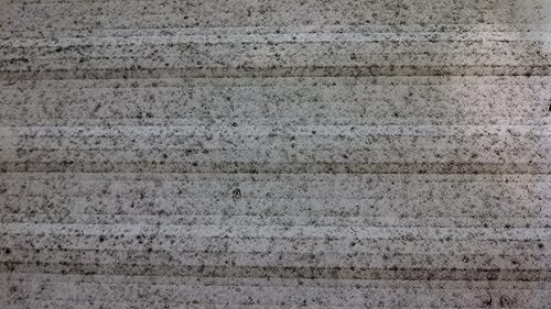 Miniatura 6 de Eliminador de escoria (galón)