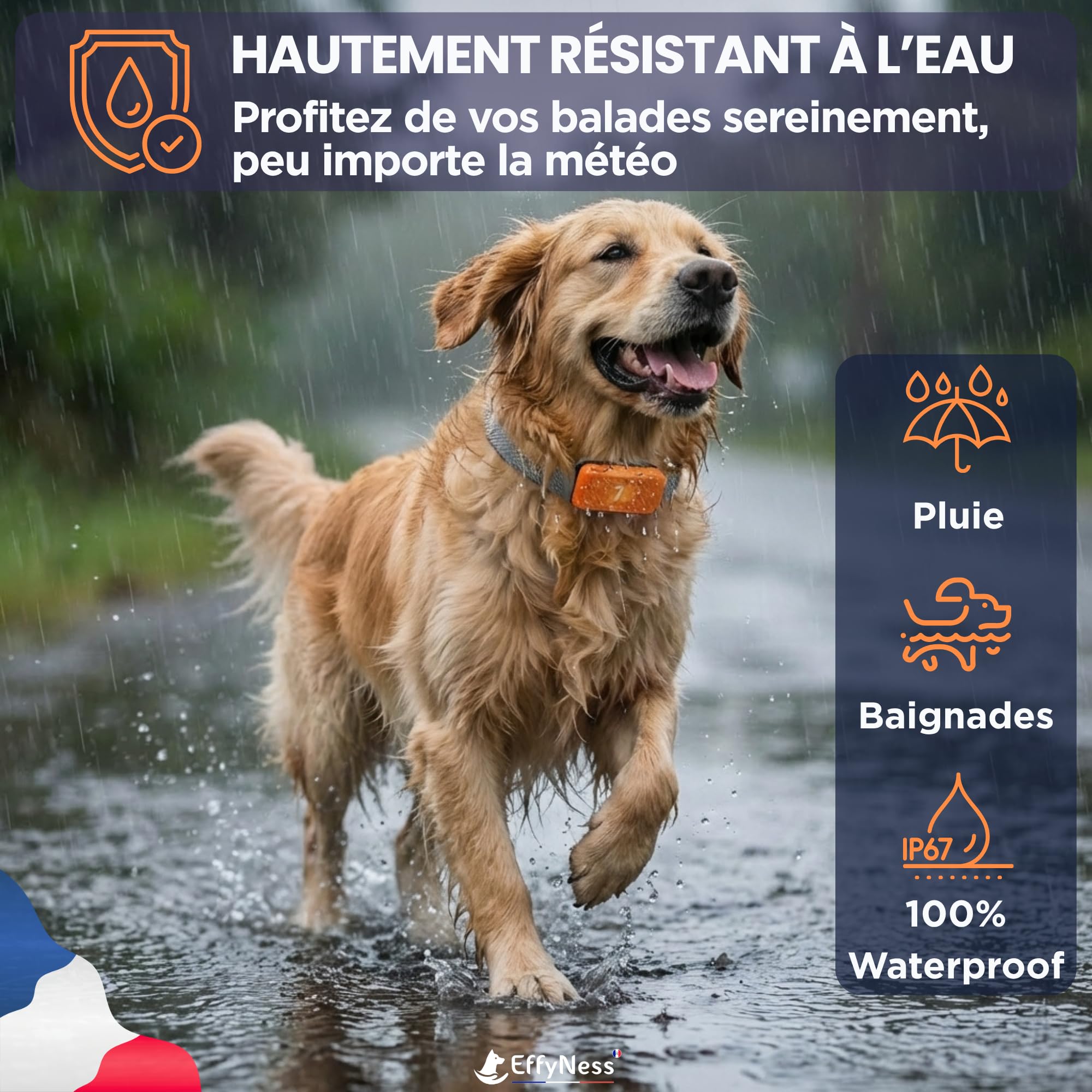 Collier Anti Aboiement Chien - Nouveau 2026 : Résultat Stop Immédiat - Automatique - Réglable - 3 Modes/7 Niveaux - Rechargeable - sans Douleur - Petits Gros Chiens - Electrique - Anti-Aboiement