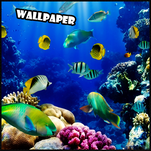 Aquarium Backgrounds HD / Aquarium Backdrop 3D App on Amazon Appstore