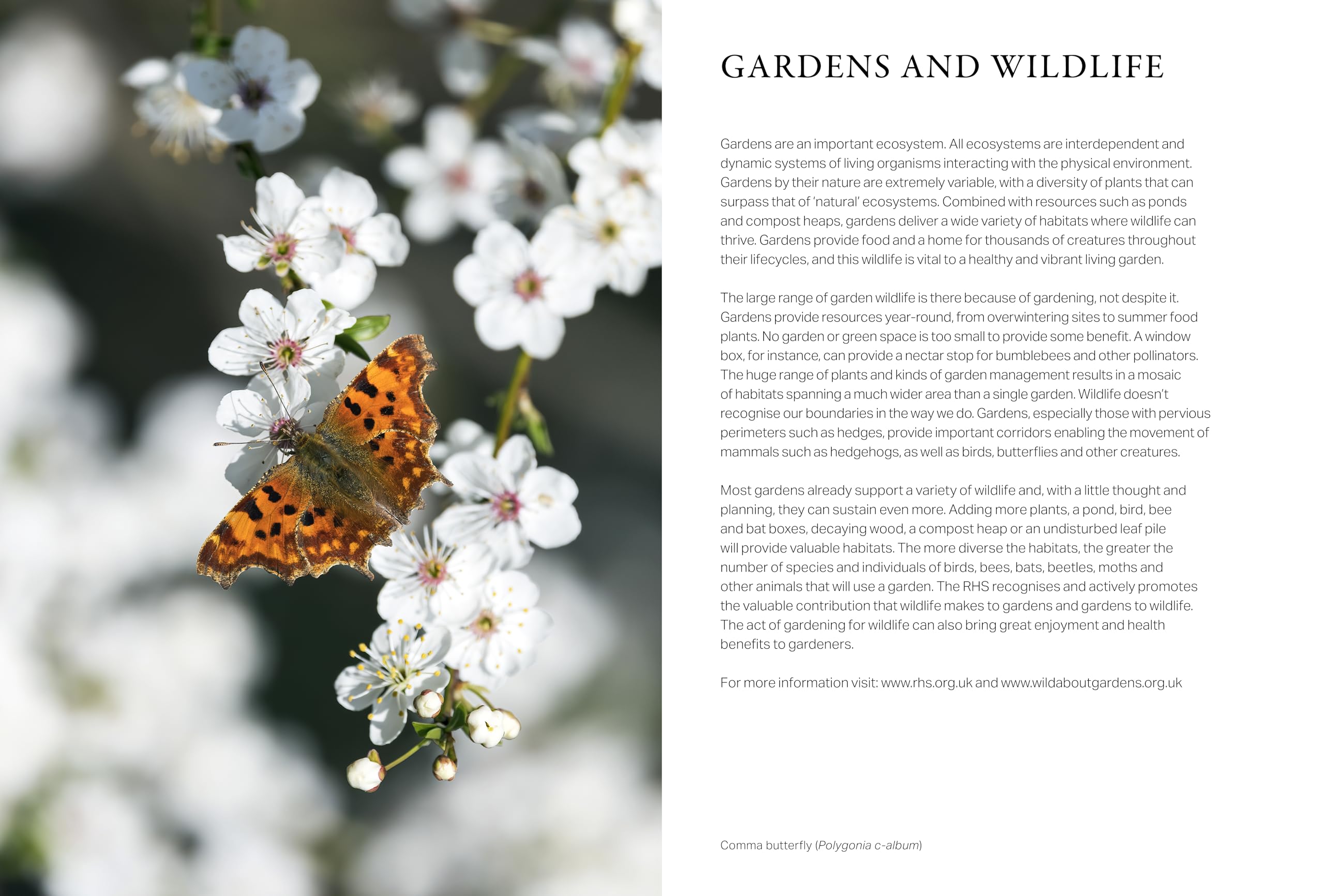 RHS Wild in the Garden Diary 2027