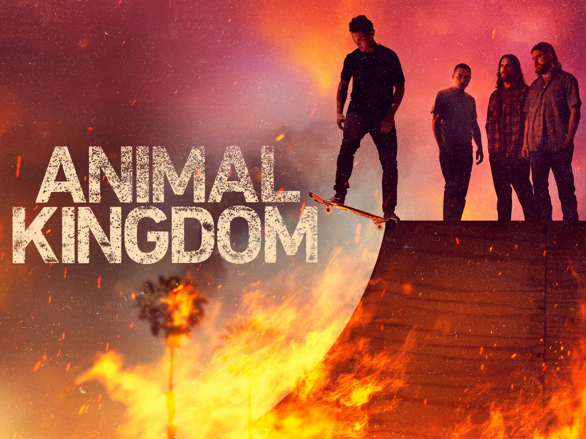 Animal Kingdom: Season 6