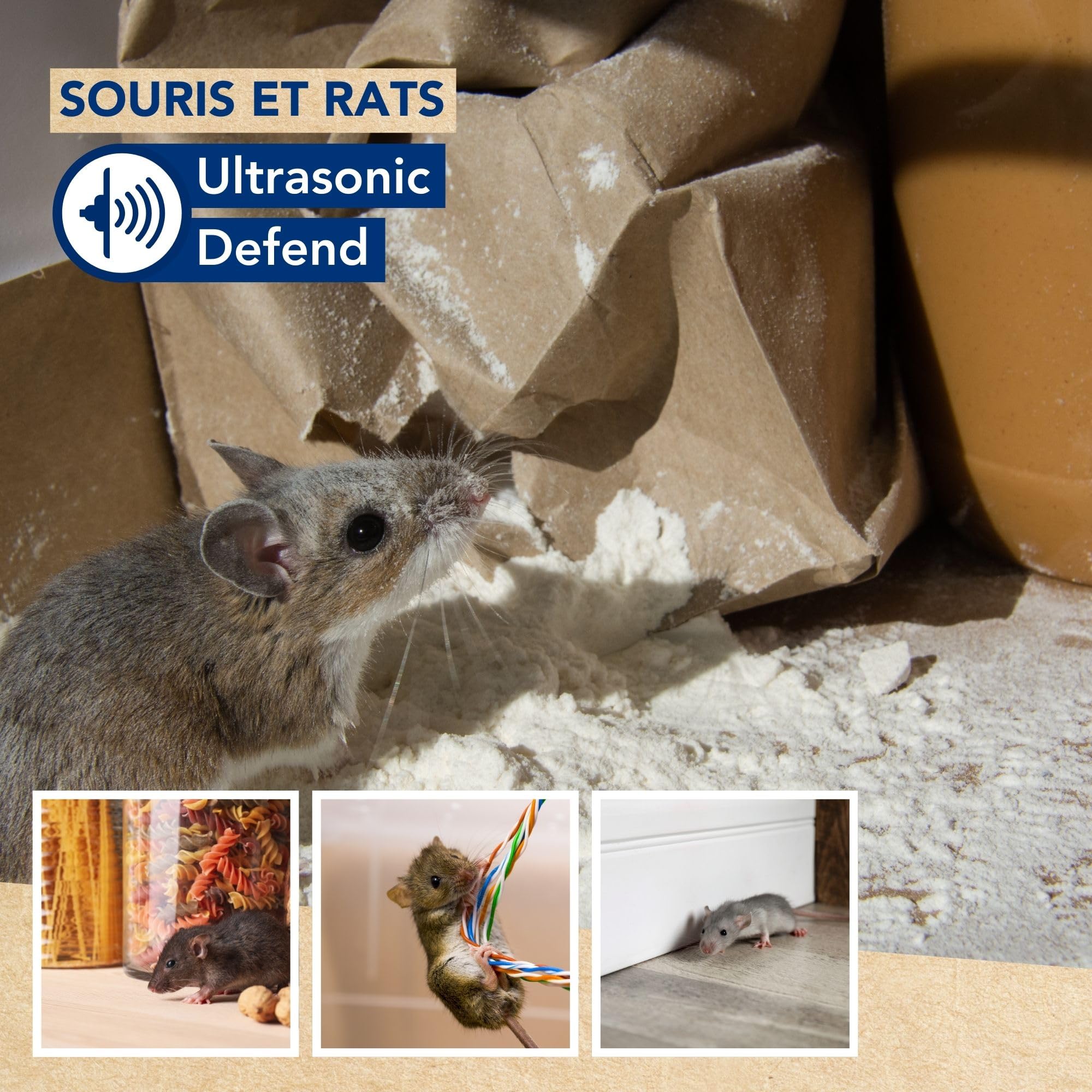 Edialux Répulsif ultrasons Souris et Rats Lot de 3 pour IntéRieur, Ondes sonores Anti rongeurs, Solution sans Danger pour Animaux, Chaque Appareil Couvre 90 m2